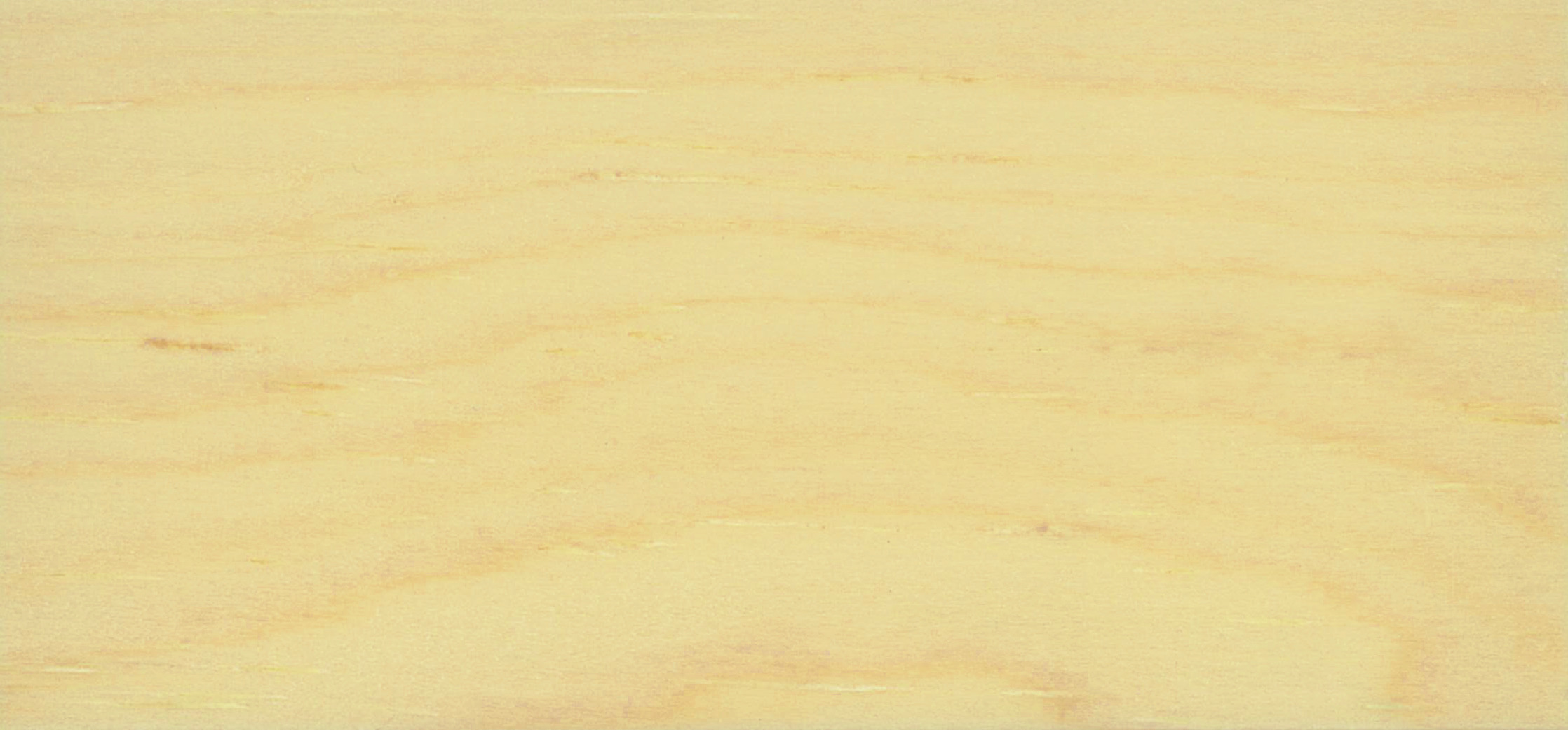 Weather Shield Windows: A Complete Guide to Quality, Features, and ...